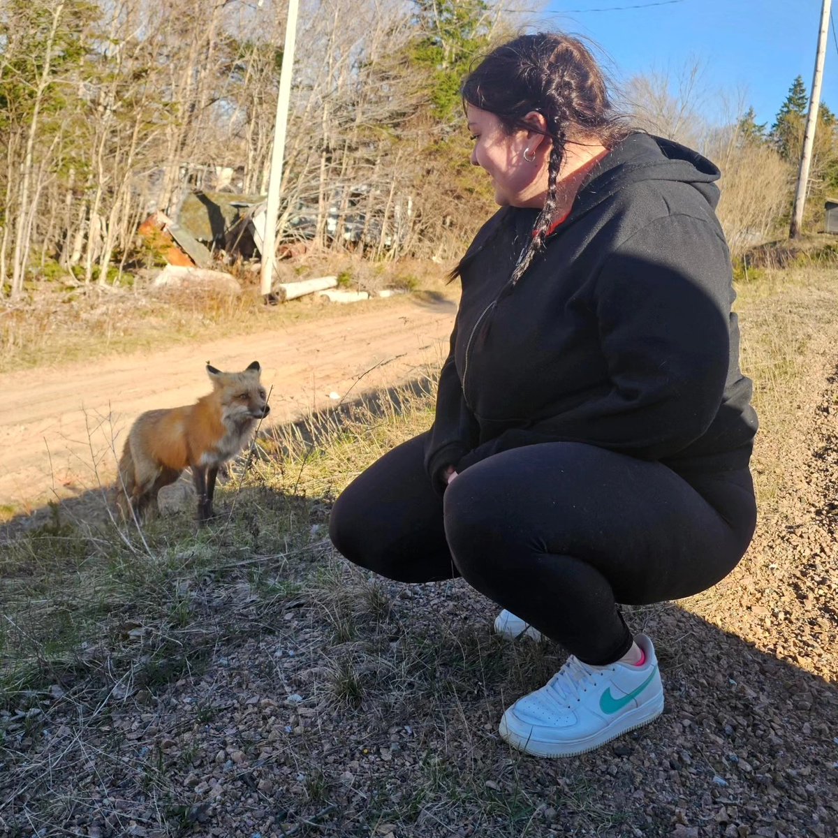 The most memorable meetings come as surprises. Yesterday, my daughter and I pulled over on the 105 to look for her vape, lol. When we were searching for it, a fox came out of nowhere to say hello (we did not feed it). I believe in the power of spirit animals. #capebretonisland