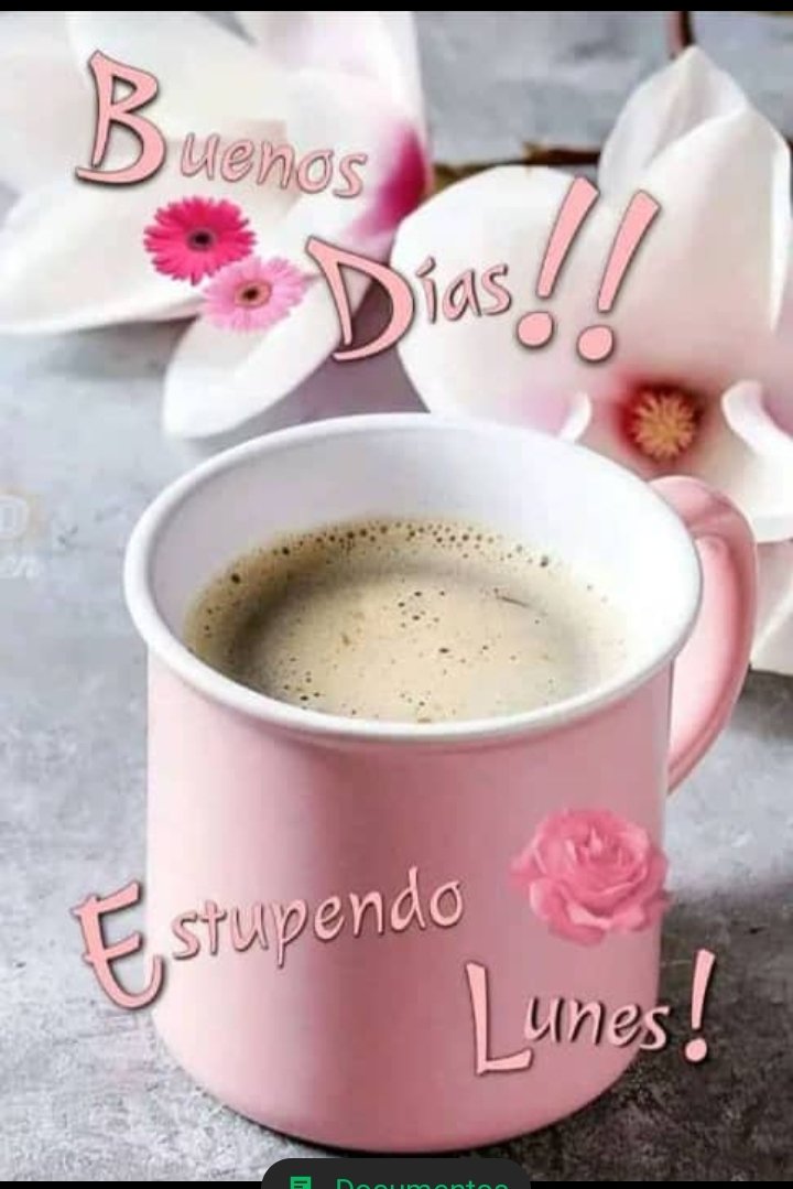 #BuenosDiasMundo #FelizLunes #InicioDeSemana 🙏🙌👍✌️👋💪🌹💕