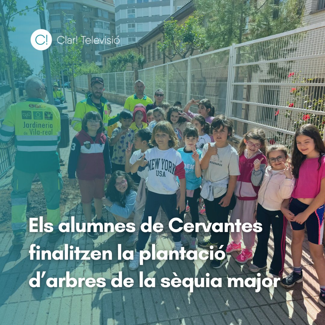 🌳 La regidoria de Serveis Públics i #MediAmbient de #Vilareal ha completat la plantació d' #arbres als voltants de la sèquia per renaturalitzar el tram que recau enfront del col·legi Cervantes i l'institut Francesc Tàrrega. 🏫