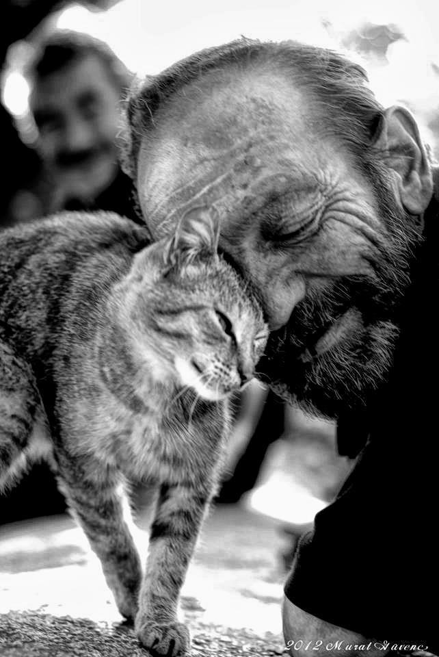 'La  compassion pour les animaux est intimement liée à la bonté de  caractère, et on peut affirmer avec assurance que celui qui est cruel  envers les animaux ne peut pas être un homme bon.'❤️❤️