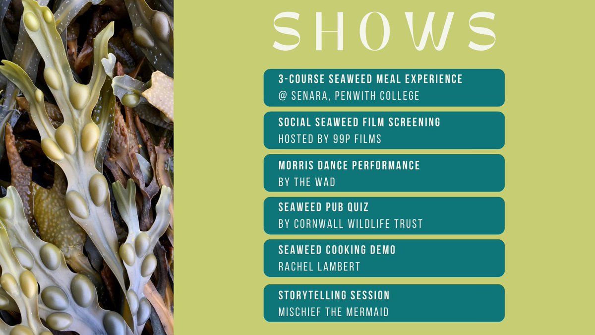 It’s two weeks until the #CornishSeaweedFestival & we can’t wait to share the wonders of #seaweed with you! From outdoor activities to talks from leading experts, workshops, vendors and immersive shows - there's something for everyone! 🌿 @NE_DCIoS @MountsBayMarine @CwallWildlife