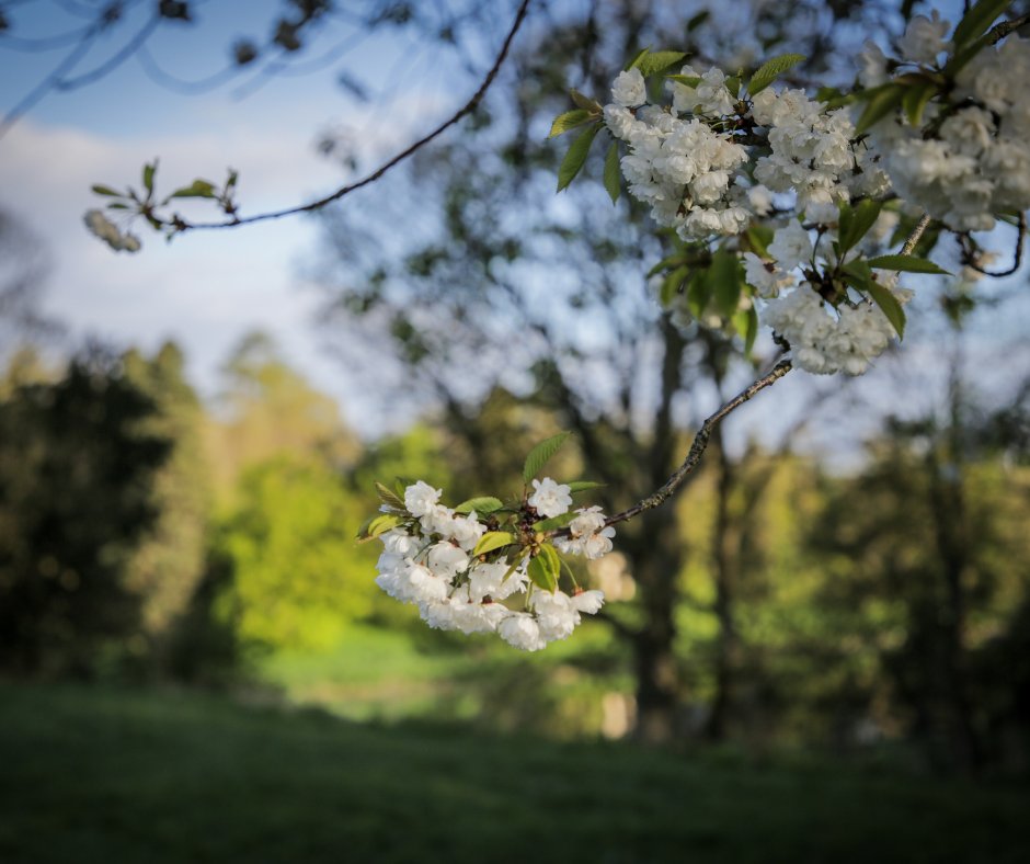 BathSpaVC's tweet image. Last week was Green Week at Bath Spa University and a great opportunity to engage the BSU community in the work the University does to reduce its impact on the environment.

Thank you for the contributions from departments across the University! 

#BathSpaUni #BSU #BathSpaProud