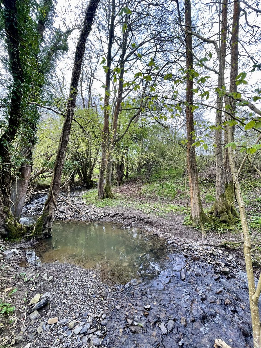 Project work on the Minsterley brook today. Catchment has several mines like Snailbeach & Tankerville. These lead to high zinc in the brook, especially in the upper catchment. We’ve set up a partnership with the Coal Authority to look at potentially removing metals in the future.