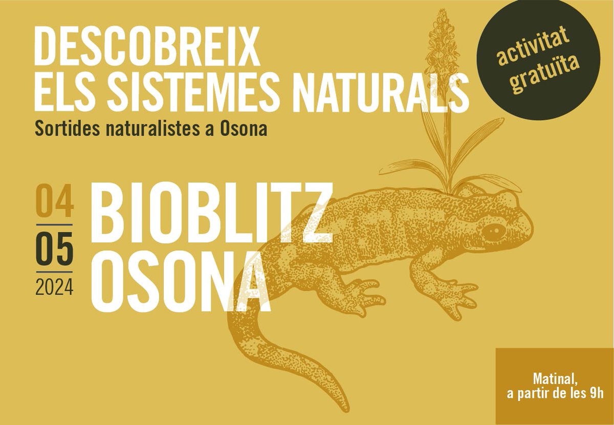 🆕📢Bioblitz Osona. Sortida dins del programa #SortidesNaturalistes24 #Osona 🗓️04 de maig de 2024 🕐09:00 h ➕informació: udivulga.uvic.cat/agenda/bioblit…