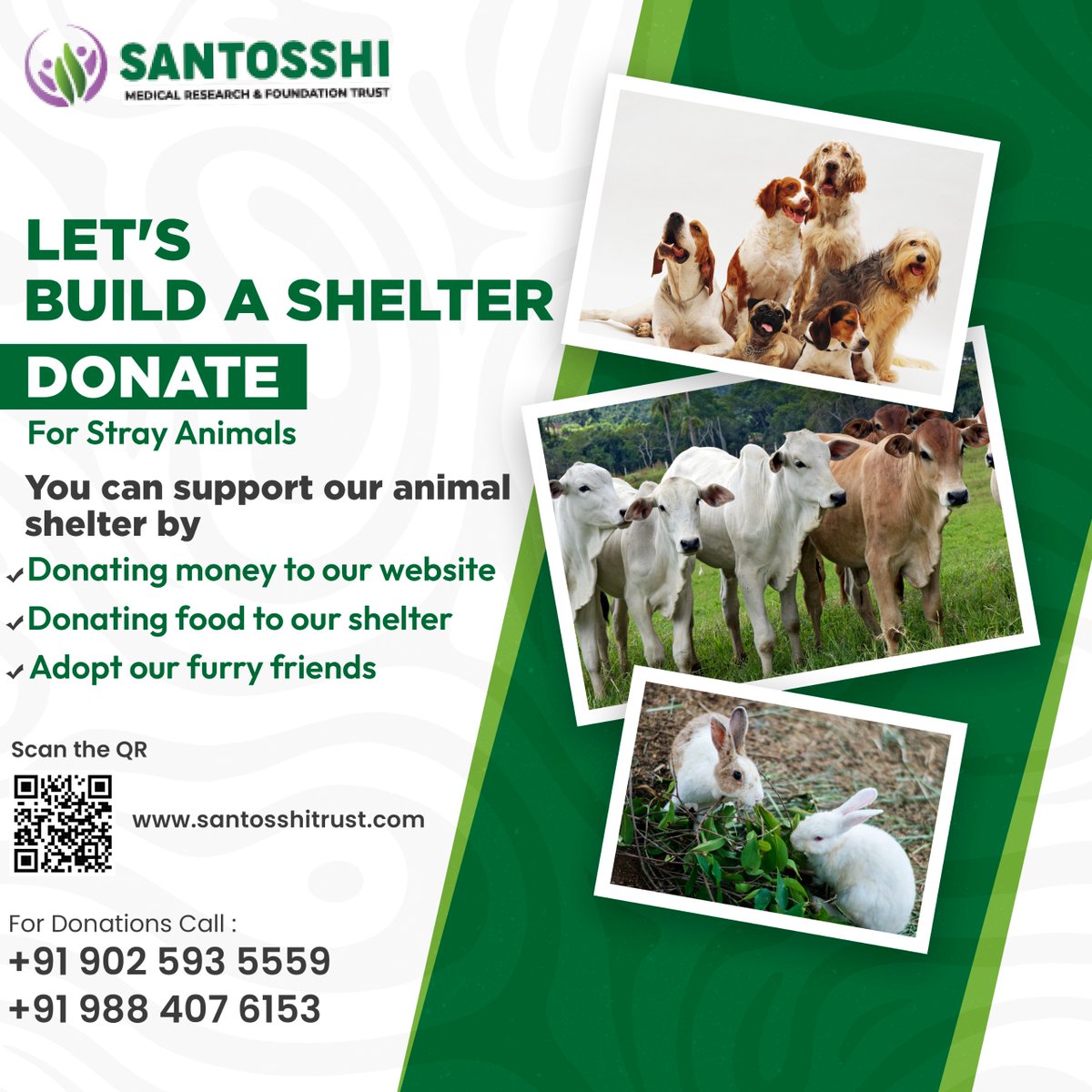 Help us build a shelter for stray animals and support our furry friends in need!
 For more information call Us:
9025935559, 9884076153

Visit us : santosshitrust.com

#SantoshiMedicalResearchFoundationHyderabad #AnimalShelter #SupportStrayAnimals #DonateForACause