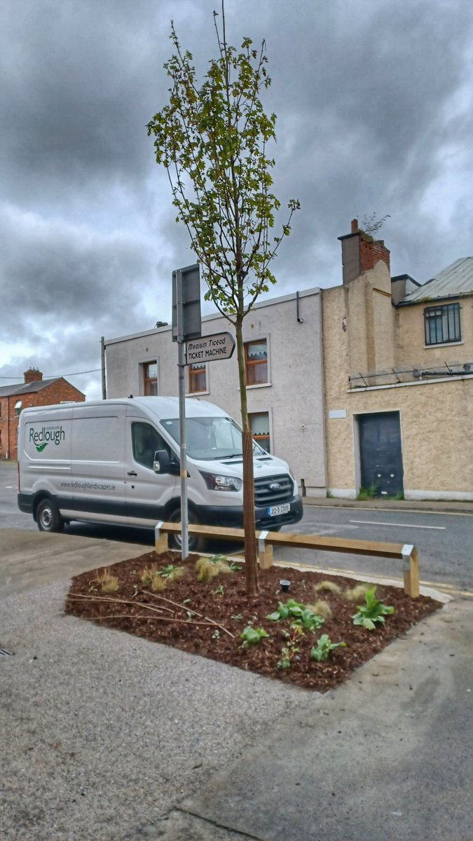 The latest street greening project in The Liberties is almost complete. Cycle frames and seats are being installed today. A big thank you to our contractor Redlough Landscapes for high quality work and finishes. 🌳x11 🌱x900 🚲x6 🪑x2 ☀️ waiting! #GreeningTheLiberties