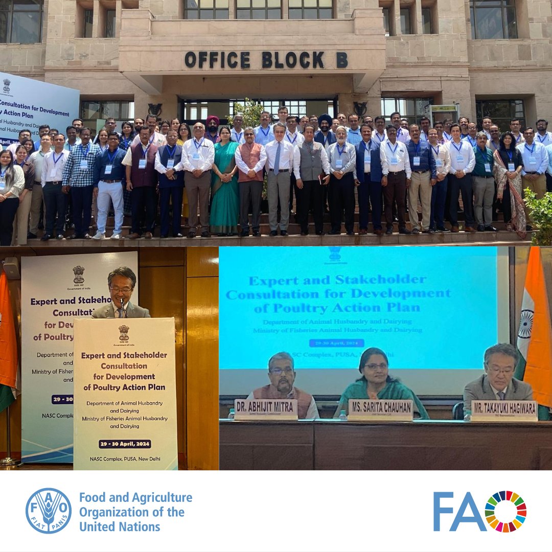 Takayuki Hagiwara, FAO-R India joined the 'Experts & Stakeholders Consultation for Development of Poultry Action Plan' organized by @Dept_of_AHD in New Delhi today. Emphasizing the importance of #OneHealth, he reaffirmed @FAO's commitment to address #PoultryHealth. #AnimalHealth
