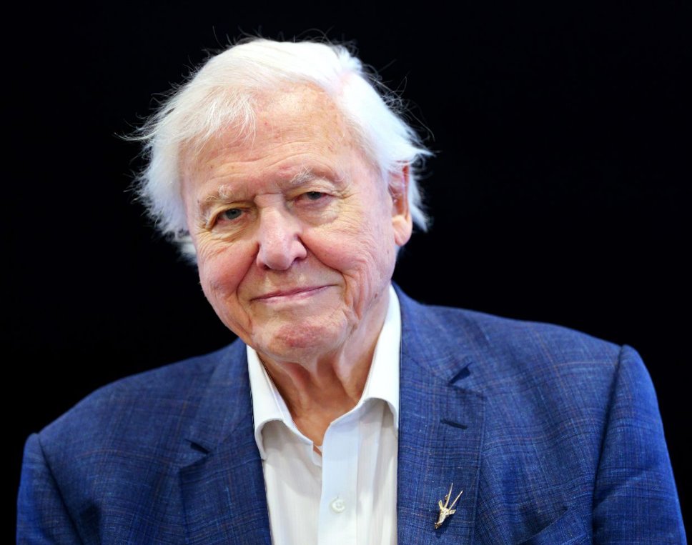 #DavidAttenborough b. 8 May 1926. “…the natural world is the greatest source of excitement; the greatest source of visual beauty; the greatest source of intellectual interest and of so much in life that makes life worth living.