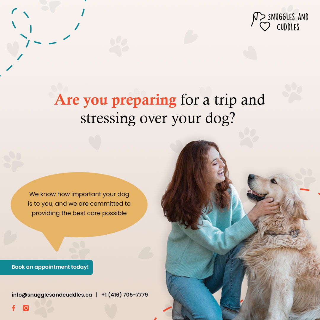 Book the best dog boarding before your vacation starts!

At Snuggles and Cuddles, we go beyond being conventional dog daycare. 

Call: (416) 705-7779 or visit: snugglesandcuddles.ca

#DogCare #DogGrooming #DogBoarding #HappyPups #DogLove #DogDayCare #DoggyParadise #Dogstagram