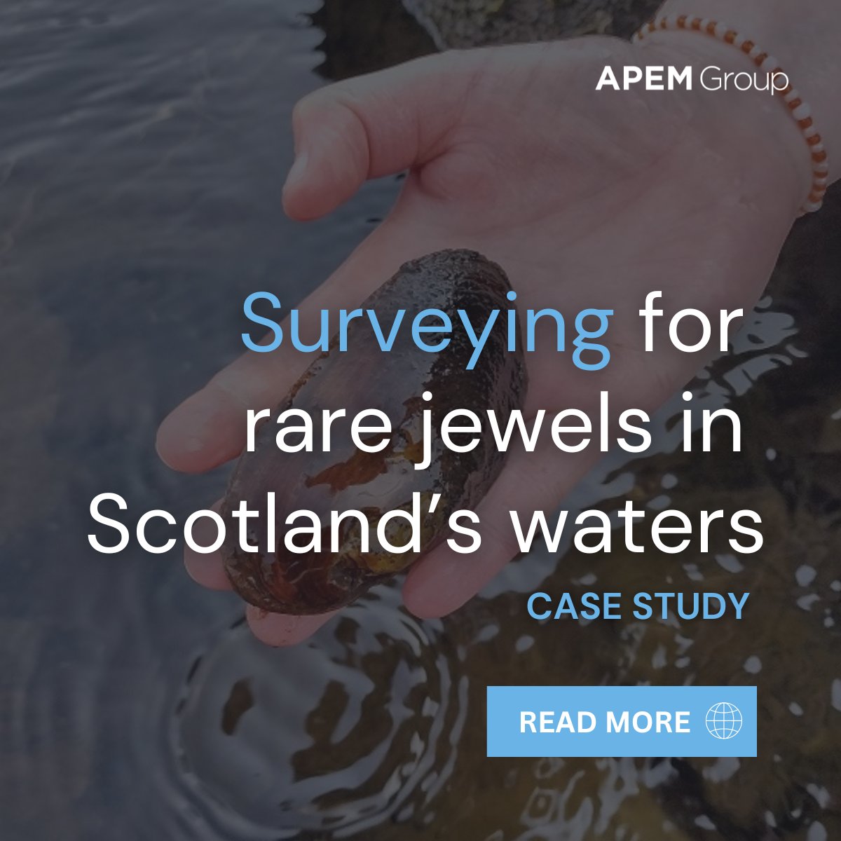 APEM survey for freshwater pearl mussels in Scotland's waters supports Mowi Scotland in fulfilling environmental obligations and making informed decisions. bit.ly/44ewFYp