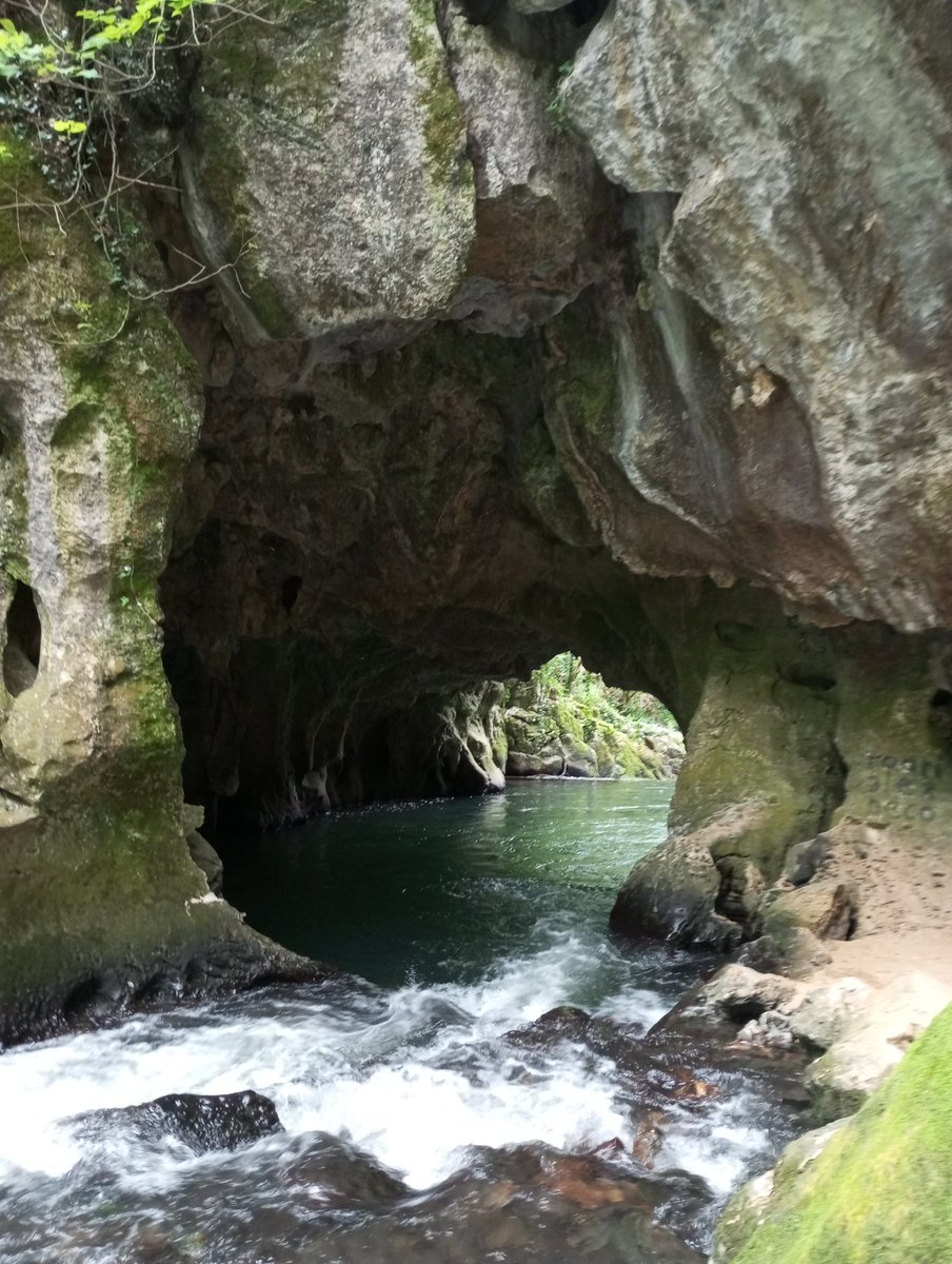 Anota esta excursión para una salida en familia por #Cantabria ❤️.

Dirección ⬇️ Hoznayo

~Una ruta por la Gruta del diablo. Ruta circular y que podrás realizar con niños pequeños y animales.
@cant_infinita #planes #viajarporespaña #senderismo