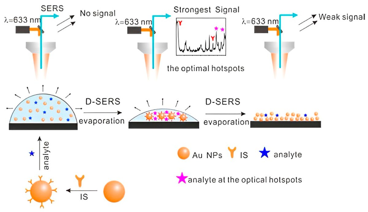 Sensors_MDPI's tweet image. Recent Advances in the Use of Surface-Enhanced Raman Scattering for Illicit Drug Detection
mdpi.com/1424-8220/22/1…
@queensu
#SurfaceEnhancedRamanScattering #RamanSpectroscopy #PointOfCareDiagnostics #DrugDetection #IllicitDrugs