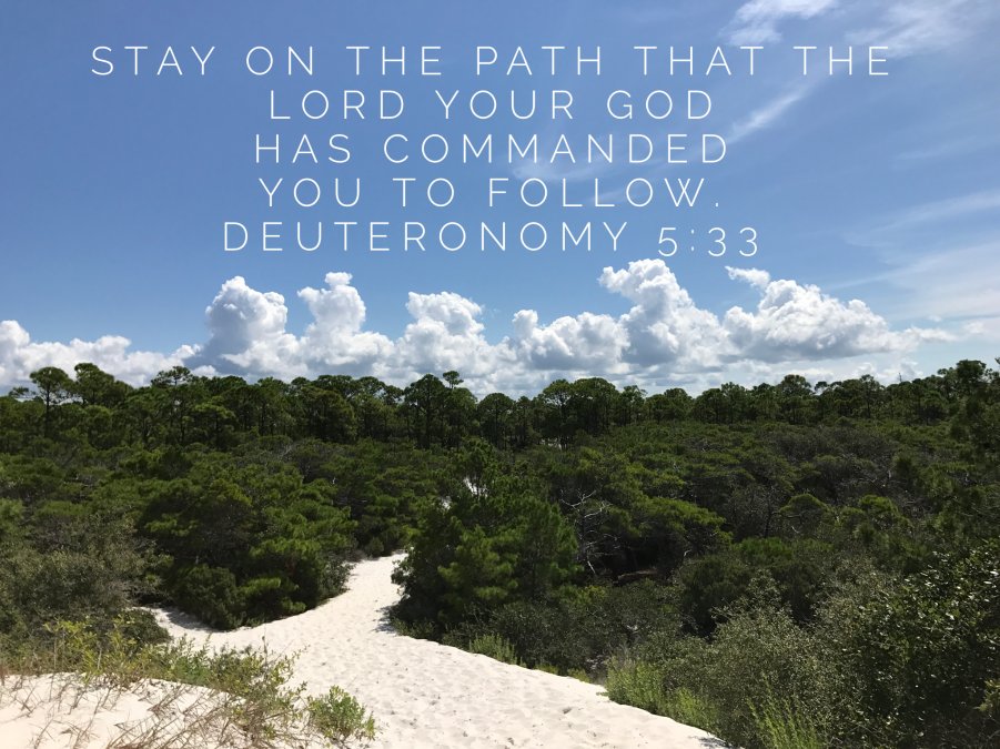 Stay on God's path #path #Deuteronomy