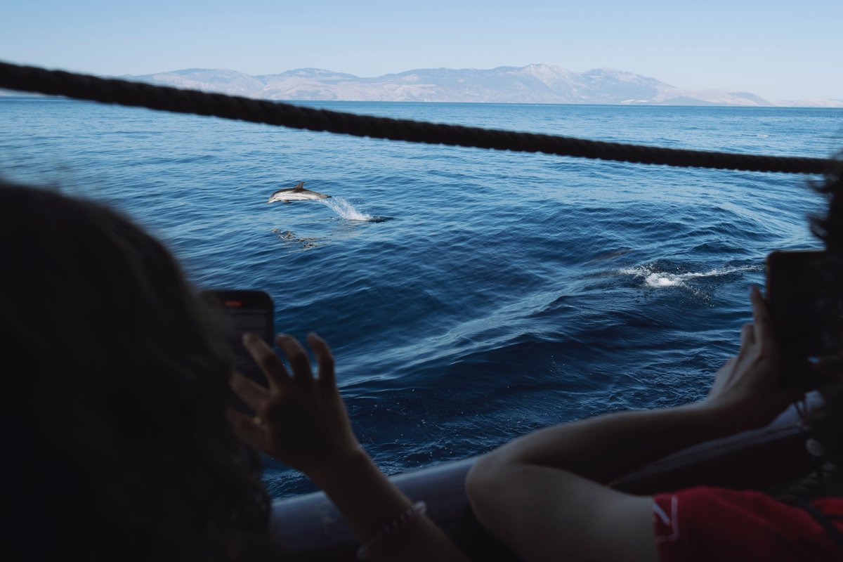 Ça passe !!!
Le <a href="/troismats_Belem/">Trois-mâts Belem</a>  Fondation Caisse d'Epargne avec la Flamme Olympique à bord a traversé hier le canal de Corinthe.

Là bas, les dauphins l'attendaient pour faire un petit bout de chemin avec eux !🐬