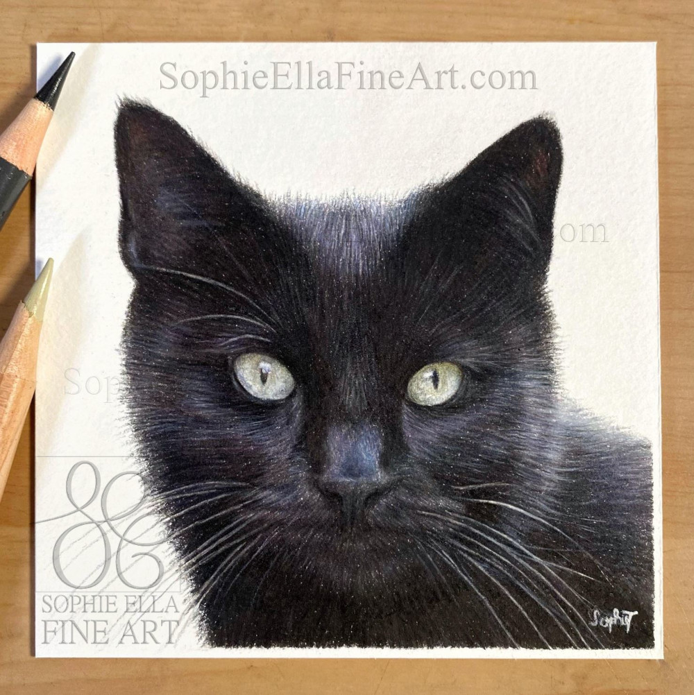 4x4 inch mini pet portrait of a lovely cat called Mookie🐾Dawn on Fabriano artistico hp paper sophieEllaFineArt.com
#artcommission #catdrawing #giftidea #wipartwork #giftideas #realisticart #colouredpencilart #catportrait #petportrait #petportraitartist #blackcat