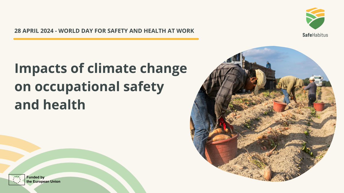 #ClimateChange will increase a number of already serious occupational risks to farmers and agri workers.

For World Day for Safety and Health at Work, we looked at the policy and #OccupationalSafety measures needed to mitigate the impact of climate change➡️bit.ly/4aR14OU