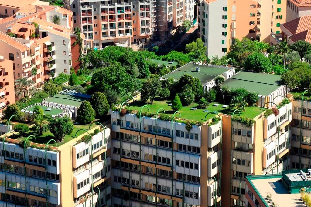 🌿 Urban green roofs not only reduce the amount of energy buildings need to regulate temperature but also provide crucial habitat for city wildlife. #GreenRoofs #UrbanNature