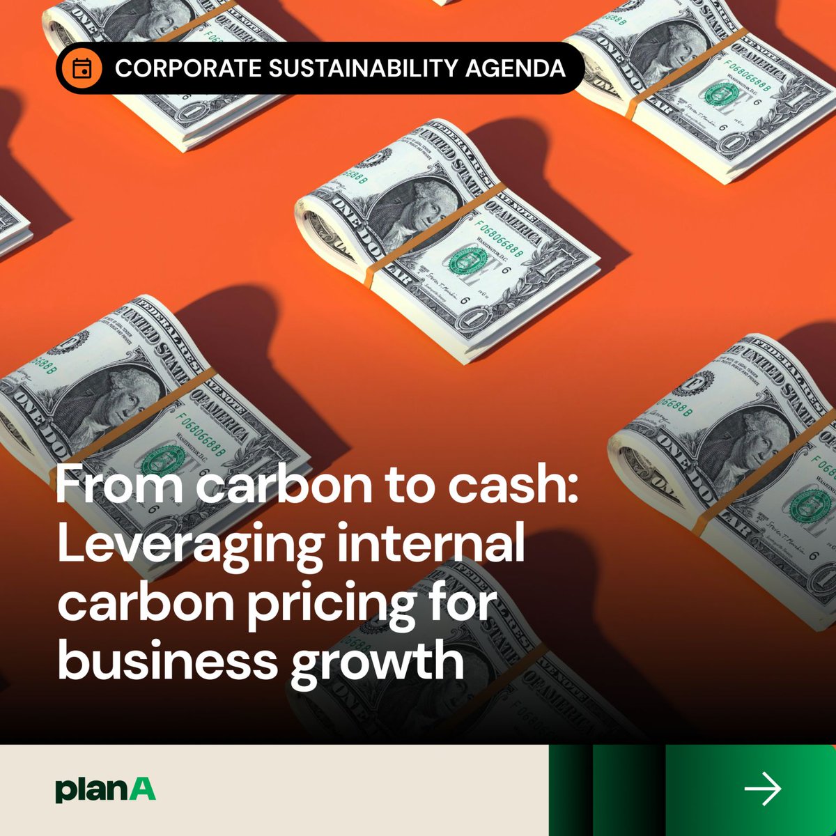 How do you transform carbon into cash?

🔗 Read more here: lnkd.in/eDq2Yvaa 

#sustainability #decarbonisation #businessstrategy #climateAation #carbonpricing