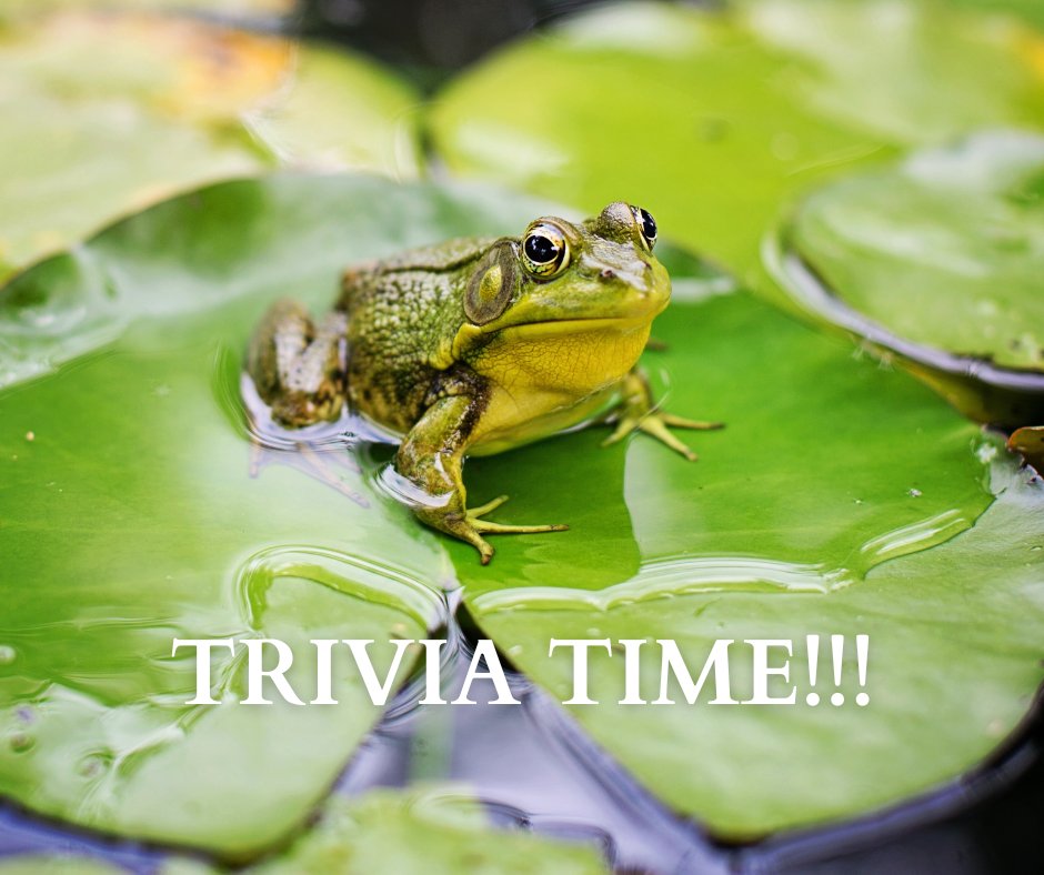 Today’s Trivia Question: What are the only mammals with wings? The first 20 to answer on our business pages will be entered in the weekly drawing for a $25 gift card. Make sure to follow our Twitter page to be eligible! #HI4E #trivia