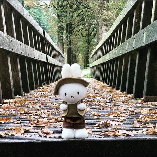 Spring walks are Miffy’s favourite! 🍂

📸 Instagram user nijn2018