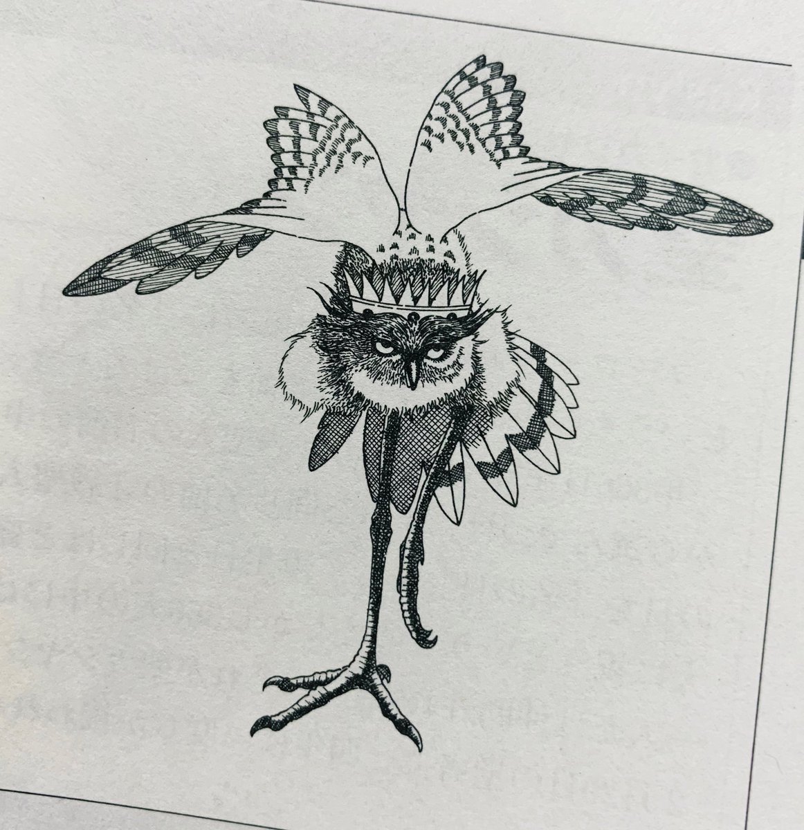 いま読んでる本のストラスの肖像画がよすぎる…🦉