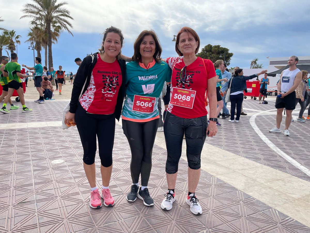 Una representació de l'equip #RunnersCSICCV va participar ahir diumenge en la #València 15k y 7.5k Abierta al mar (@VCRunning). Enhorabona i gràcies per portar la samarreta del @CSIC fins la meta! @CSICdivulga @CienciaGob @lasprovincias @AjuntamentVLC @FDMValencia