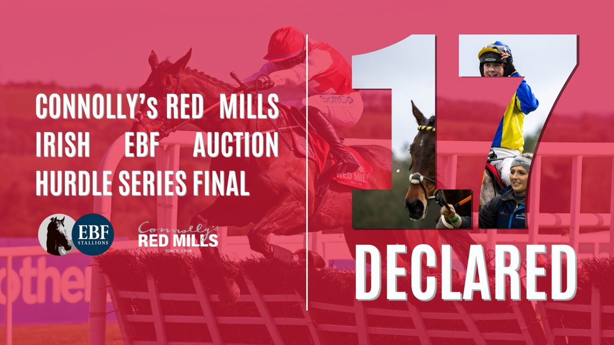 1⃣7⃣ declared for Wednesday's €75,000 #REDMILLS @IrishEBF_ Auction Series Hurdle FINAL @punchestownrace 👏🏆

🔴Answer To Kayf
🔴Any Road
🔴Blizzard Of Oz
🔴Iceberg Theory
🔴Black Bamboo
🔴Backtonormal
🔴Aeros Luck
🔴My Gaffer
🔴Drumgill
🔴Mont Beuvray
🔴On Lovers Walk
🔴Purse…