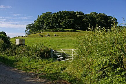 Waddon Hill is a hill and the site of an old Roman fort near Beaminster, in Dorset. wikishire.co.uk/wiki/Waddon_Hi…