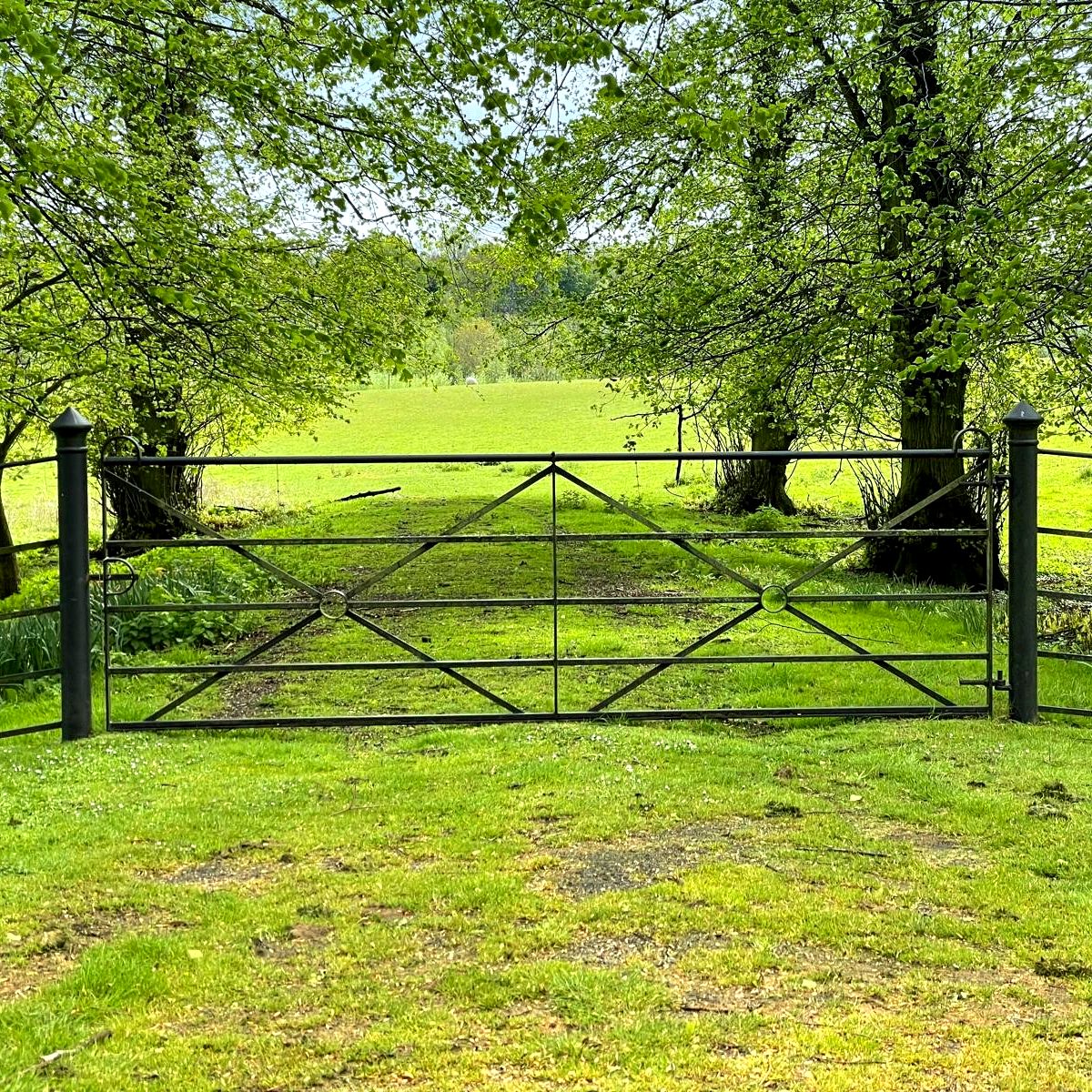 Quadrant Estate Gates provide the same classic design as our Diamond gates but have more central detailing. These gates are very popular for use as driveway or entrance gates, coming highly recommended by our customers

#quadrantgate
#gate
#metalgate
#estategate
#thetraditionalco