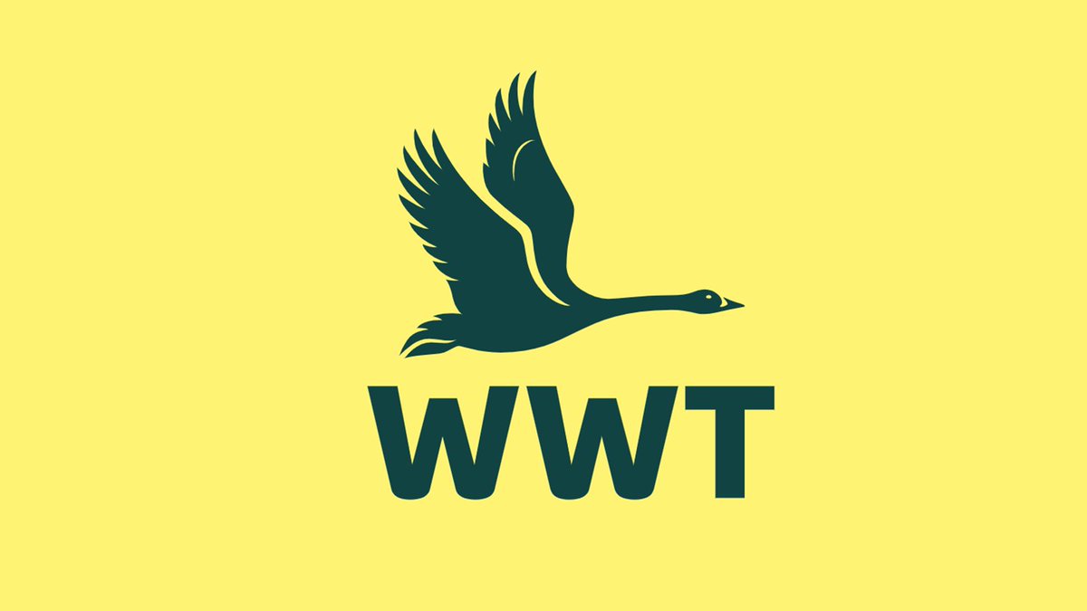 Director of Fundraising, Marketing and Communications @WWTSlimbridge

This is a 18 month Fixed Term contract based at #Slimbridge with the opportunity for #HybridWorking

Apply here: ow.ly/zOxA50RhZnn

#GlosJobs #NatureJobs #MarketingJobs