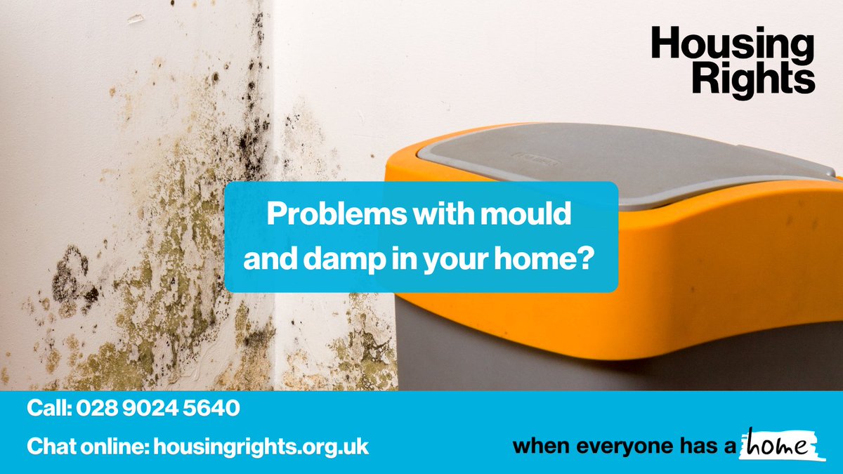 Having problems with damp and mould? If left untreated, this can impact your home and your health. Get free confidential advice today👇 ☎️028 9024 5640 💻housingrights.org.uk