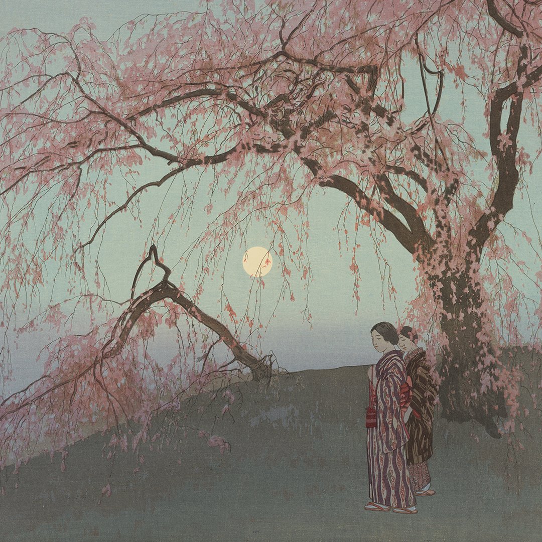We're only a couple of months away from introducing you to our new exhibition: Yoshida, Three Generations of Japanese Printmaking. 🌸 19 June - 3 November 2024. Yoshida Hiroshi, Kumoi Cherry Trees, 1926. Courtesy Fukuoka Art Museum.