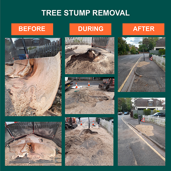 We recently removed a large tree stump from a pavement.  Take a look at our before and after photos.

Equipped with a range of grinders, our arborists can remove any tree stump, no matter the size or location. 

#treestumpremoval #treework #treesurgeon #arborist