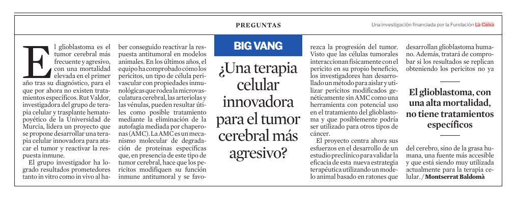 🧠 El glioblastoma és el tumor cerebral➕freqüent i agressiu, i encara no té teràpies específiques. Amb el suport de #CaixaImpulse Innovació, Rut Valdor desenvolupa un estudi preclínic per validar l'eficàcia d'una nova teràpia cel·lular contra la malaltia. 🗞️ @LaVanguardia.👇