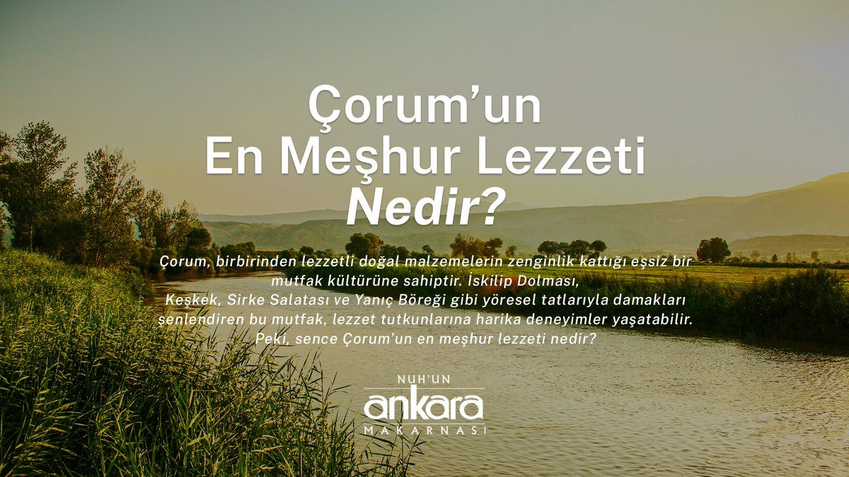 Nuh'un Ankara Makarnası tweet media