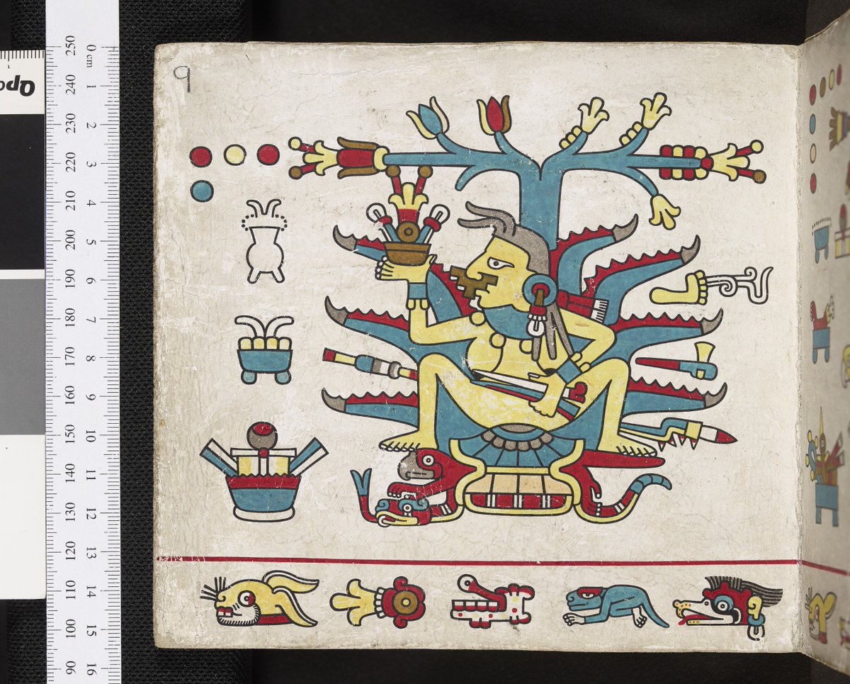 #ManuscriptMonday 
@bodleianlibs 
MS. Laud Misc. 678 p. 16(9)
‘Codex Laud’ or ‘Codex Mictlan’
Mexico - Pre-Hispanic, possibly the 15th century