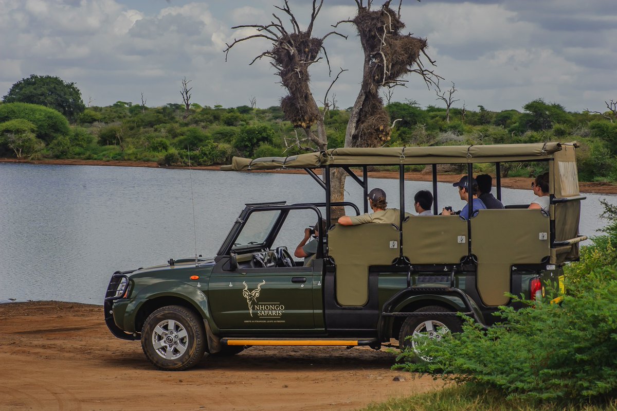 Nhongo Safaris: Where every moment is a new discovery. Book your safari adventure today and experience the wonders of the wild. #NewDiscoveries #SafariAdventure