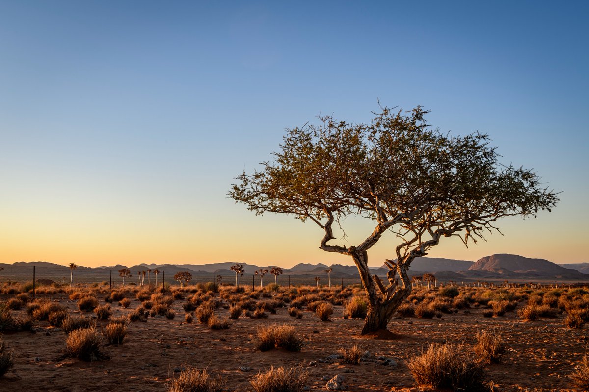 '🌍📰 Die zweite Ausgabe von Umweltwirtschaft International ist da! Entdecken Sie neue Förderbekanntmachungen für den Klimaschutz und wertvolle Informationsquellen! 👉t1p.de/z1um3 #Klimaschutz #Umwelt #EENCanHelp