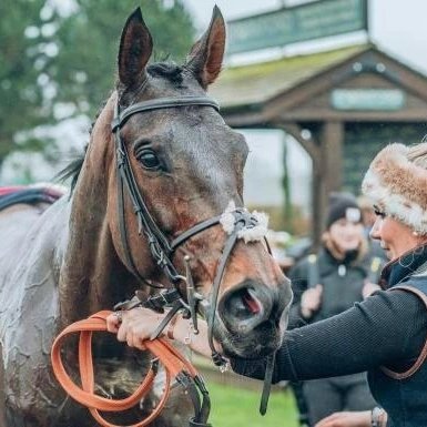 Memories of a great day in the West Country as Nemean Lion showed his abundant class to land the Grade 2 Kingwell Hurdle @wincantonraces back in February 🦁 #NemeanLion #winners #happyhorses #KingwellHurdle #westcountry #Herefordshire #happymemories