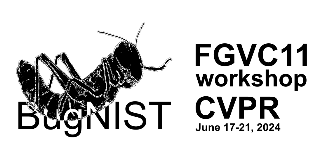 Anders Bjorholm Dahl (@bjorholmdahl) on Twitter photo Do you want to be part of a collaborative paper on 3D volumetric object detection under domain shift? Then join the BugNIST2024 competition <a href="/fgvcworkshop/">FGVC Workshop</a> @cvpr. We have created a baseline implementation making it easy to get started. See more here: kaggle.com/competitions/b… Do you want to be part of a collaborative paper on 3D volumetric object detection under domain shift? Then join the BugNIST2024 competition <a href="/fgvcworkshop/">FGVC Workshop</a> @cvpr. We have created a baseline implementation making it easy to get started. See more here: kaggle.com/competitions/b…