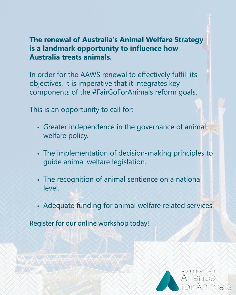 🐤Have your say! Your input on Australia's Animal Welfare Strategy can help build a fairer Australia for animals.
Learn more and register at allianceforanimals.org.au/ourwork/submis…

#animalwelfare #haveyoursay #FairGoForAnimals