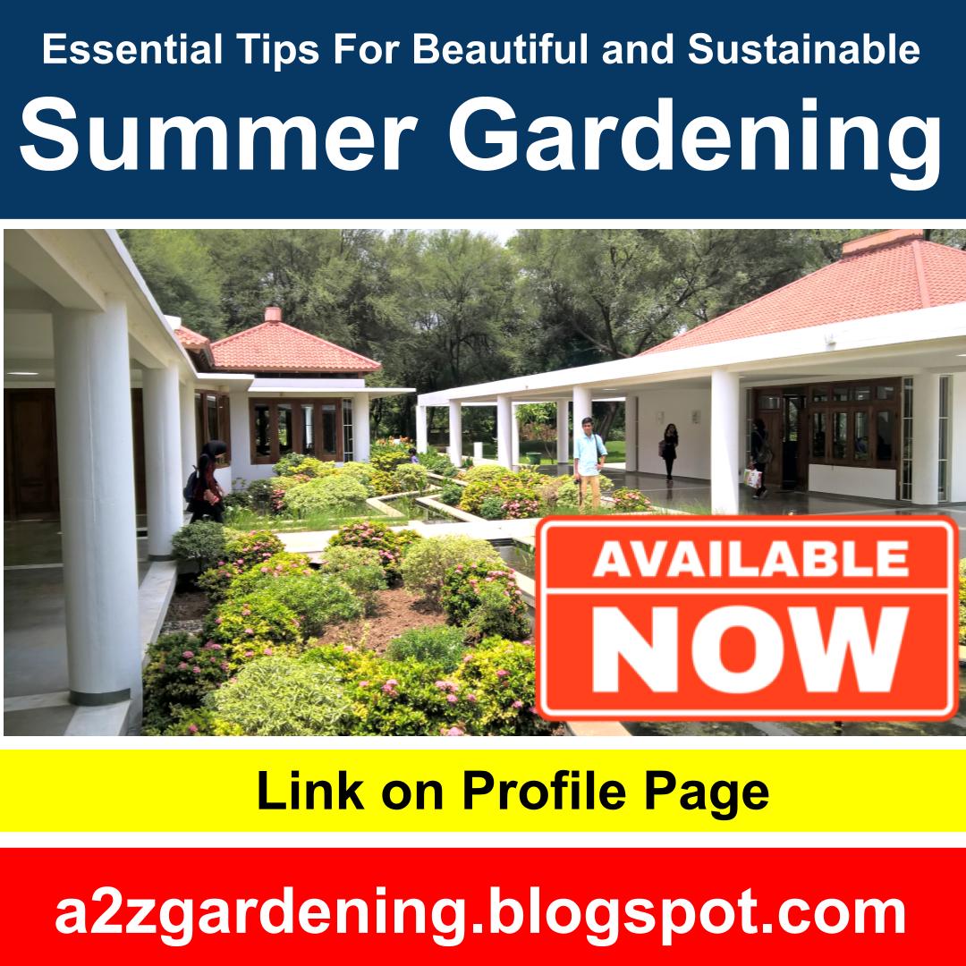 Essentilal Tips for Beautiful & Sustainable Summer Gardening
Link: a2zgardening.blogspot.com/2024/04/essent…
#summergarden #gardeningtips #landscaping