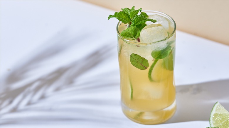 Minty Mango Mojito Cocktail 😋😋

Recipe by #ChefSane 🧑‍🍳

Full #recipe on our food blog 👉 chefsane.com/minty-mango-mo… 👈 

#foodphotography #foodblogger #recipeshare #DelishDish #FoodieFaves #EpicEats #YumYum #NomNom #FoodGoals #TastyTreat