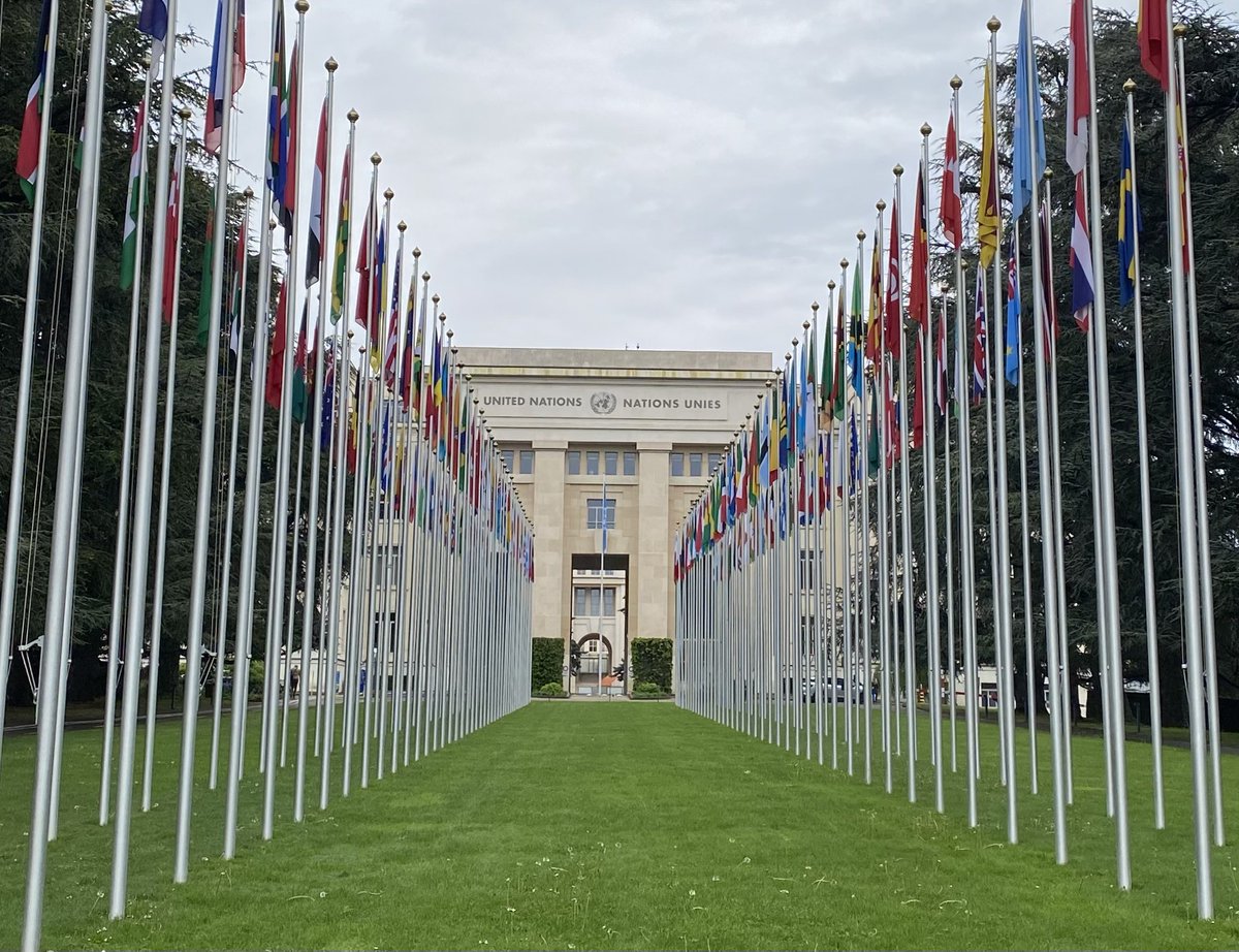 🇺🇳 #UPR46 starts today!

14 States will have their #humanrights records examined by the @UN #UniversalPeriodicReview mechanism:

#Afghanistan, #Cambodia, #Chile, #Comoros, #Cyprus, #Dominica, #Eritrea, #NorthMacedonia, #VietNam, #NewZealand, #Slovakia, #Uruguay, #Vanuatu, #Yemen.