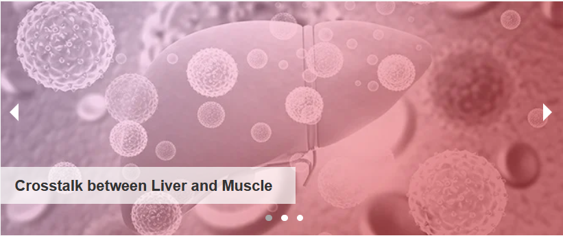 #CallForReading
Clinical and Therapeutic Implications of BCAAs Metabolism during Chronic #LiverDisease in Humans: Crosstalk between #SkeletalMuscle and Liver

by Maria Camila Trillos-Almanza et al.
@HanMoshage @univgroningen 
👉mdpi.com/2813-0413/3/1/8