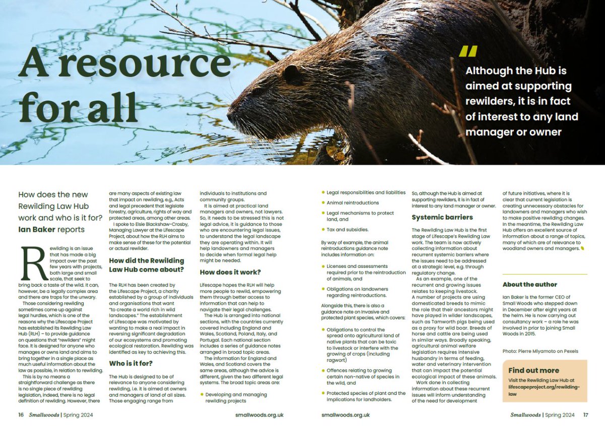Thanks to @smallwoodsuk for featuring our Rewilding Law Hub in Smallwoods magazine! Find the hub here: lifescapeproject.org/rewilding-law/  This article was first published in the Spring 2024 edition of Smallwoods magazine, by the Small Woods Association: smallwoods.org.uk