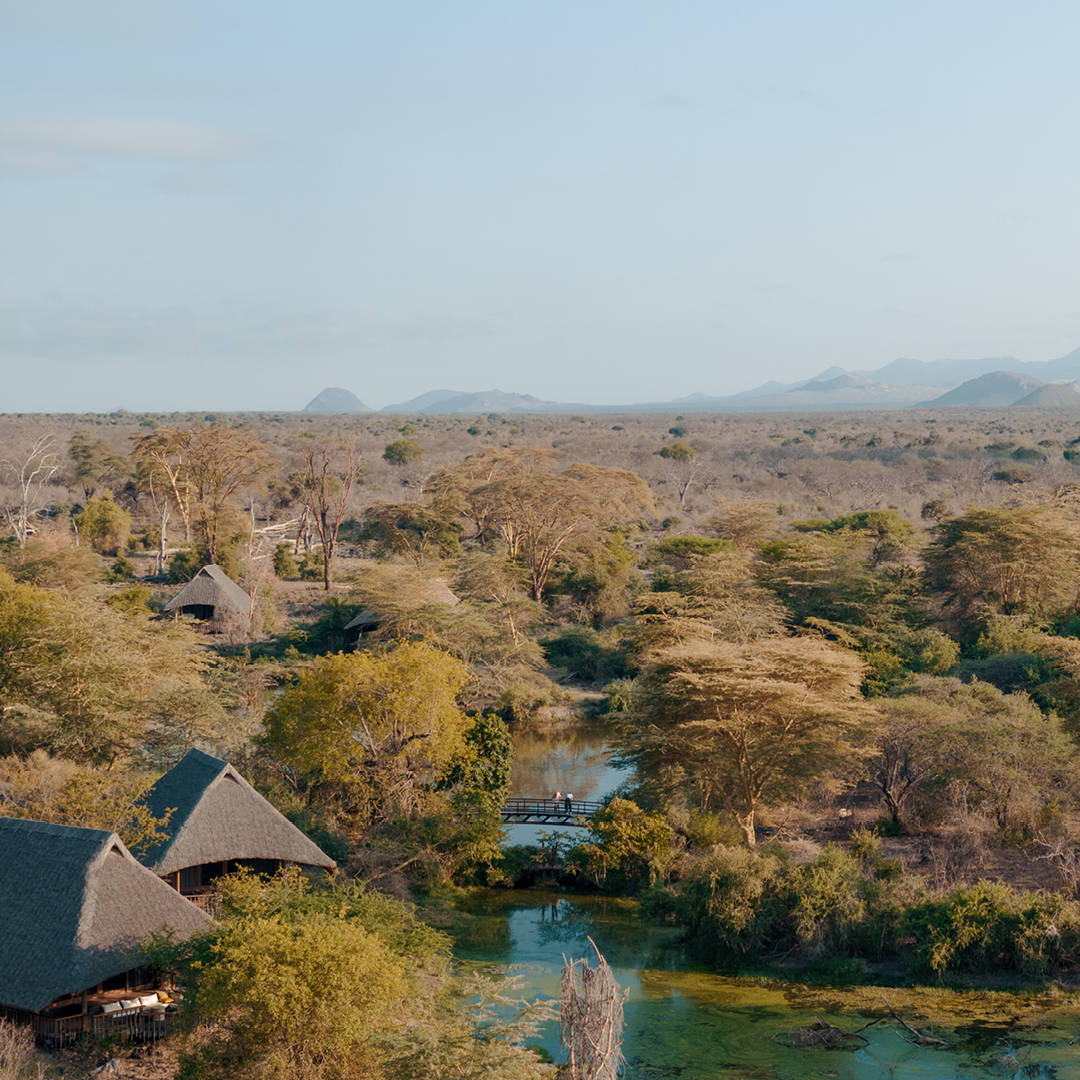 Step into a world where luxury meets nature's embrace. 

📸: Where Is This

#finchhattons #nature #beauty #wild #luxurysafari