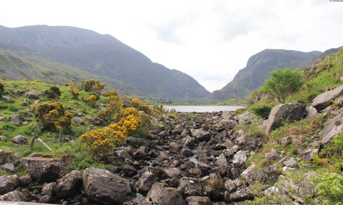 View over Black Lake at Gap of Donloe.
#gapofdunloe #nature #kerry #killarney #travel #ringofkerry #wildatlanticway #ireland #irish #discoverireland #visitireland #irelandtravel #travel #europe #photography #travelphotography #photooftheday