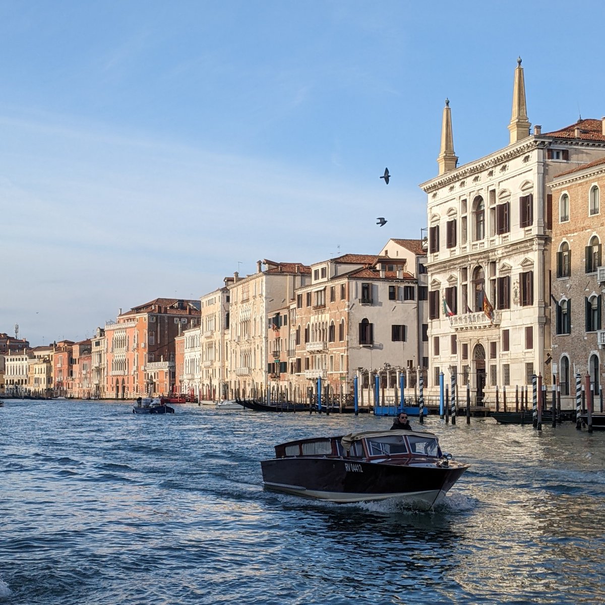 Canal Grande #venezia #venice #veneziagram #veneziaunica #igersvenezia #veneziadavivere #travelphotography #venise #picoftheday #architecture