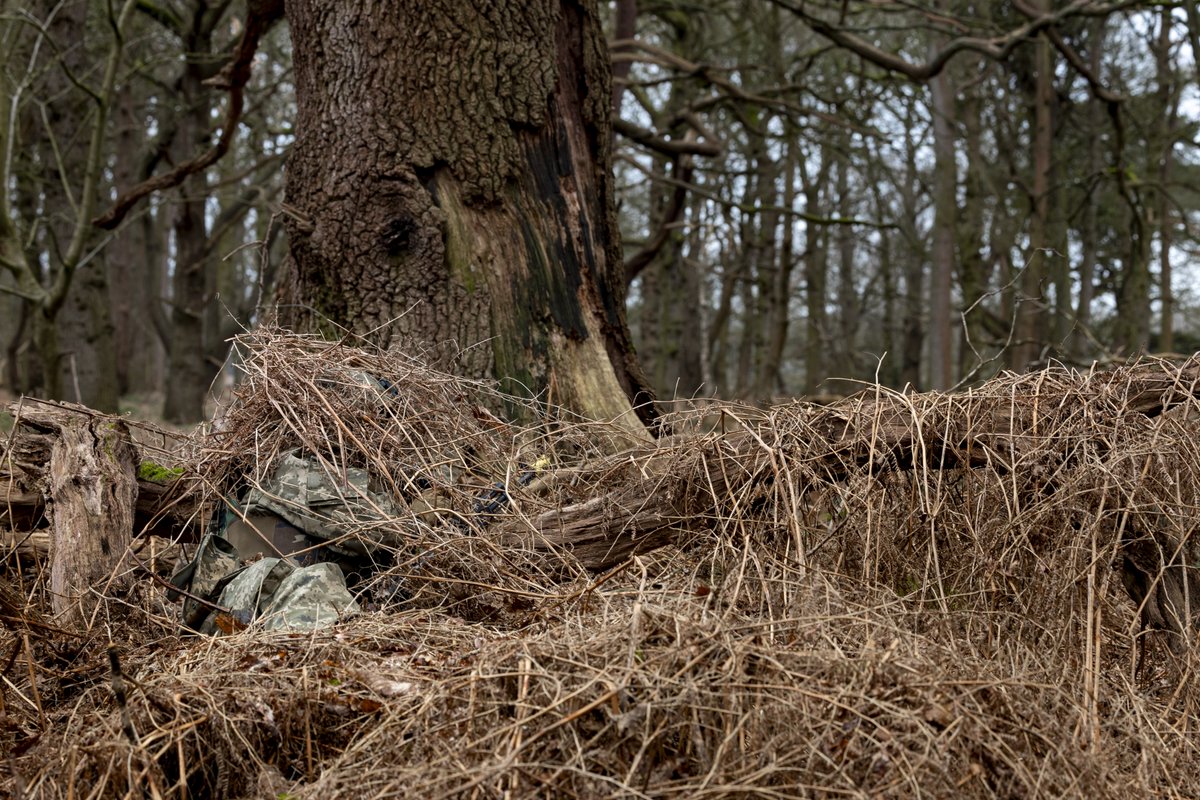 #YourADF soldiers delivered junior leader training to @DefenceU soldiers to enhance their survivability and lethality against invading forces into Ukraine. The training is part of the UK-led multinational mission, #OpInterflex. 🇬🇧🇦🇺🇺🇦 #AusArmy #OpKudu @britisharmy